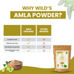 Amla Powder