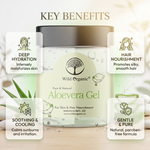 A jar of Wild Organic Pure & Natural Aloevera Gel centered on a light cream background with decorative aloe leaves and four benefit callouts around it under the heading 'KEY BENEFITS'.