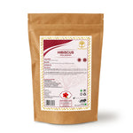 HIBISCUS POWDER - 100 gm