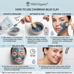 Wild Organic-Cambrian Blue Clay Powder- Healing clay - 100gm