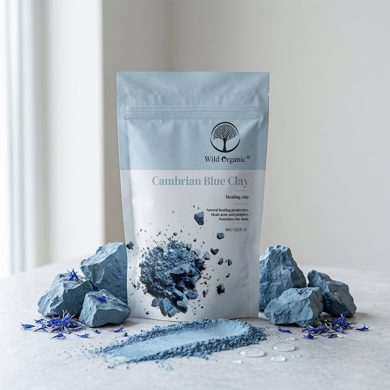 A stand-up pouch of Wild Organic Cambrian Blue Clay healing clay stands on a light surface with blue clay rocks, loose powder, and scattered blue flower petals around it. The pouch is pale blue and white with a printed tree logo and product name, photographed in a bright indoor setting.