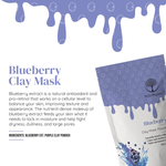 Blueberry Clay Mask Powder 100 Gm
